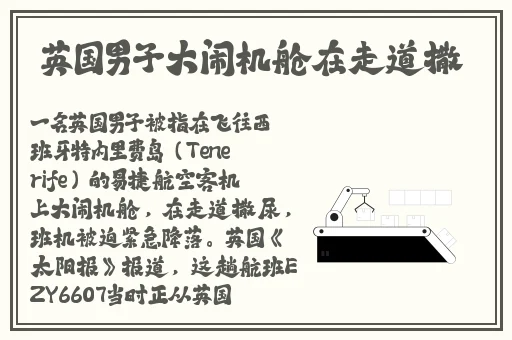 夜里十**用软件app入口